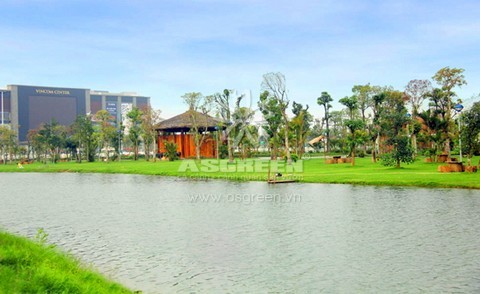 Vincom Village dành đến 2/3 diện tích cho cây xanh – mặt nước