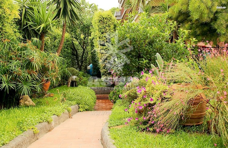 10 Bí quyết thiết kế cảnh quan ngoài vườn