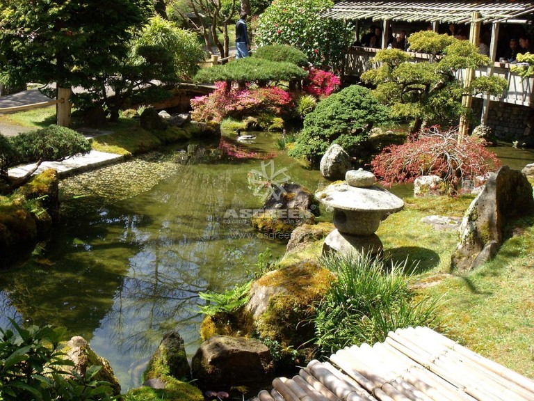 Thiết kế cảnh quan sân vườn phong cách Nhật Bản