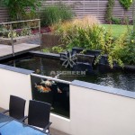 mau-ho-ca-koi-hien-dai-koi-fish-pond-asgreen-025