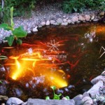 mau-ho-ca-koi-hien-dai-koi-fish-pond-asgreen-038